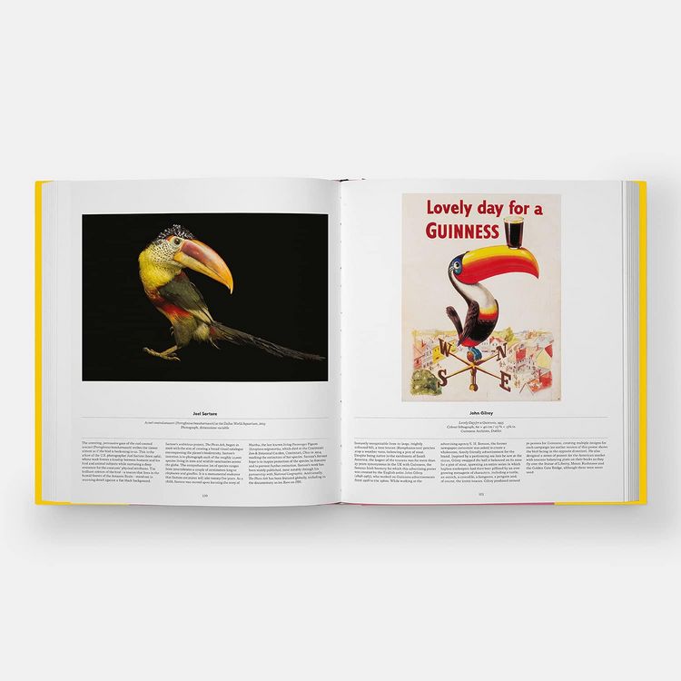 Produktbild: Bird: Exploring the Winged World