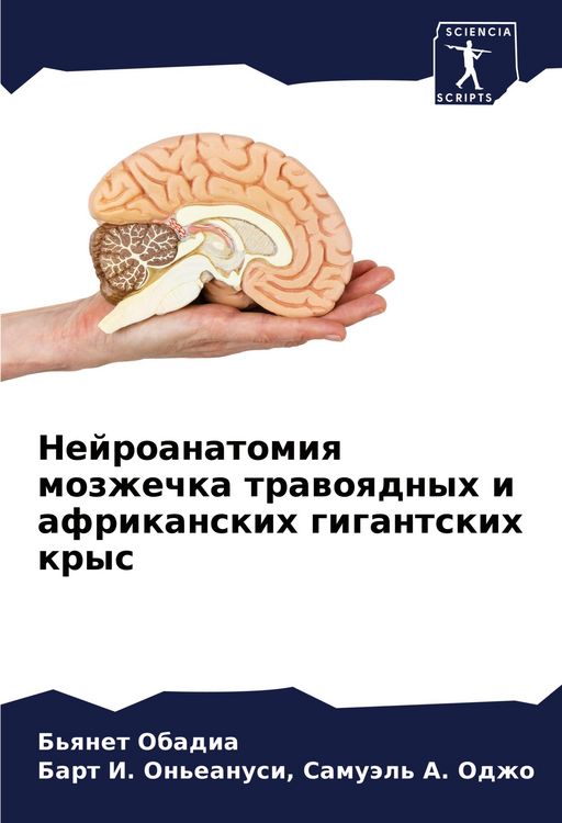 Produktbild: Nejroanatomiq mozzhechka trawoqdnyh i afrikanskih gigantskih krys