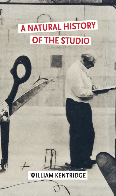Produktbild: A Natural History of the Studio