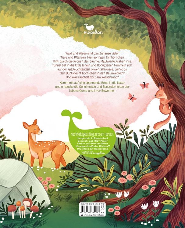Produktbild: Kleine Geheimnisse der Natur - Wald und Wiese