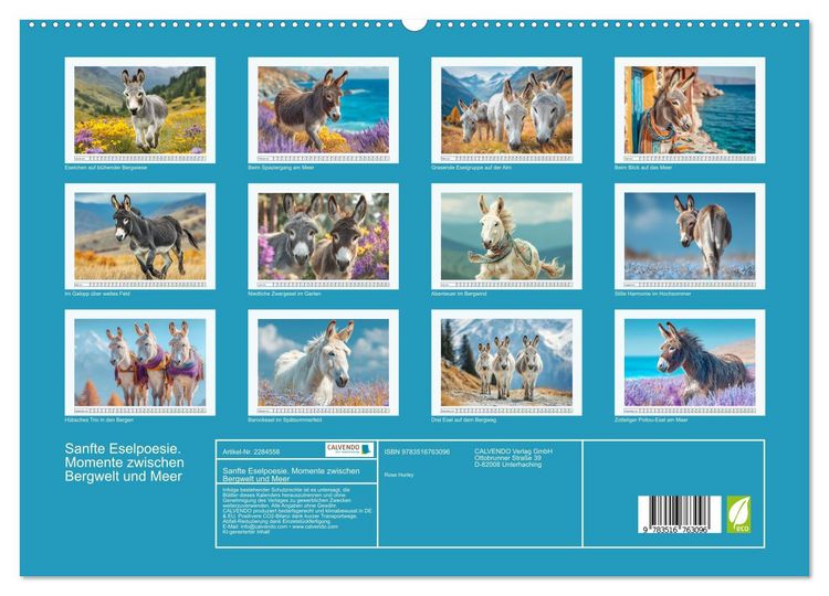 Produktbild: Sanfte Eselpoesie. Momente zwischen Bergwelt und Meer (hochwertiger Premium Wandkalender 2027 DIN A2 quer), Kunstdruck in Hochglanz
