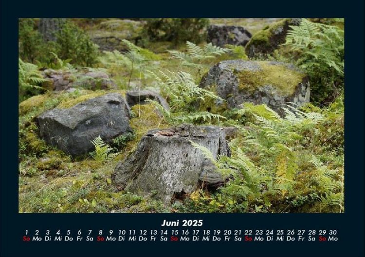 Produktbild: Bilder der Natur 2025 Fotokalender DIN A4