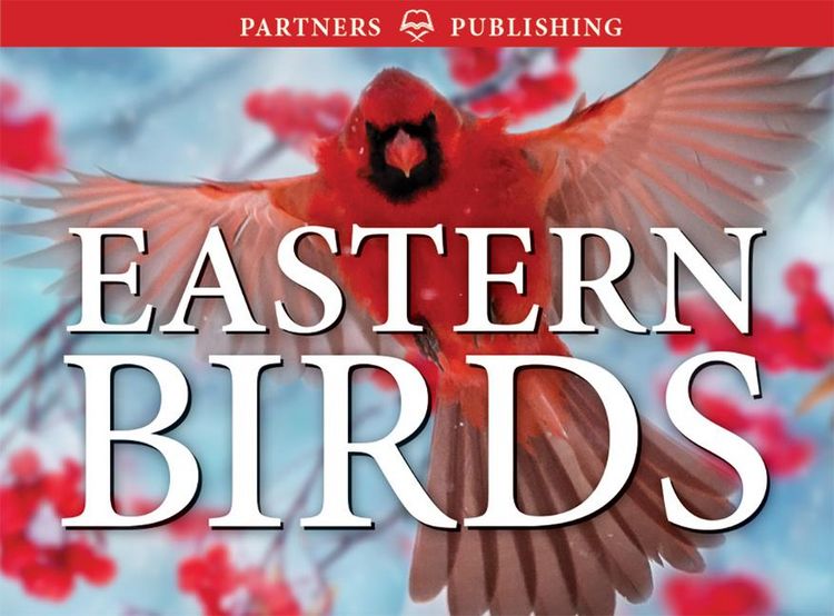 Produktbild: Eastern Birds