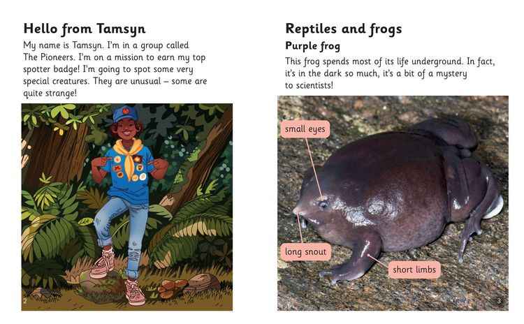 Produktbild: Rare and Unusual Creatures