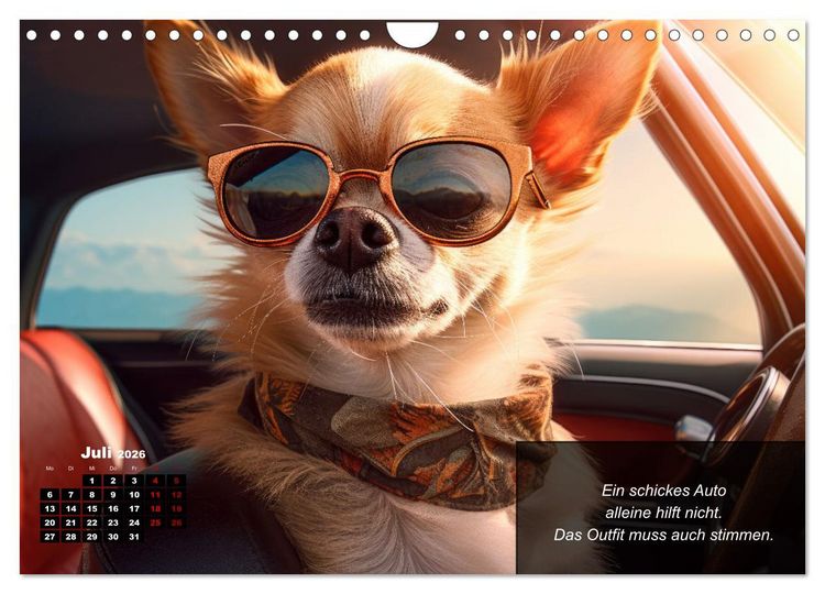 Produktbild: Lustige Chihuahua-Momente (Wandkalender 2026 DIN A4 quer), CALVENDO Monatskalender