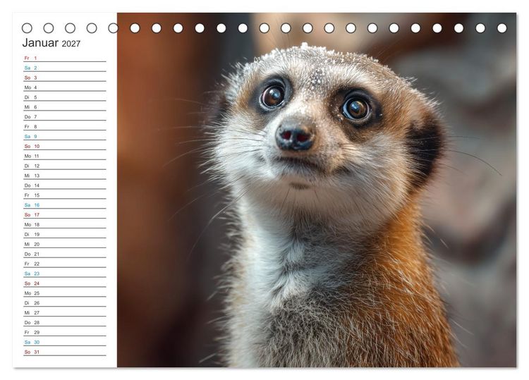 Produktbild: Die Welt der Erdm&auml;nnchen (Tischkalender 2027 DIN A5 quer), CALVENDO Monatskalender