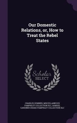 Produktbild: Our Domestic Relations, or, How to Treat the Rebel States