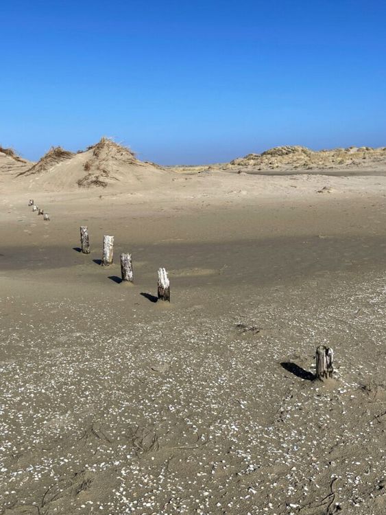 Produktbild: CALVENDO Puzzle Weite D&uuml;nenlandschaft in Nordfriesland | 1000 Teile Lege-Gr&ouml;&szlig;e 64x48cm Foto-Puzzle f&uuml;r gl&uuml;ckliche Stunden