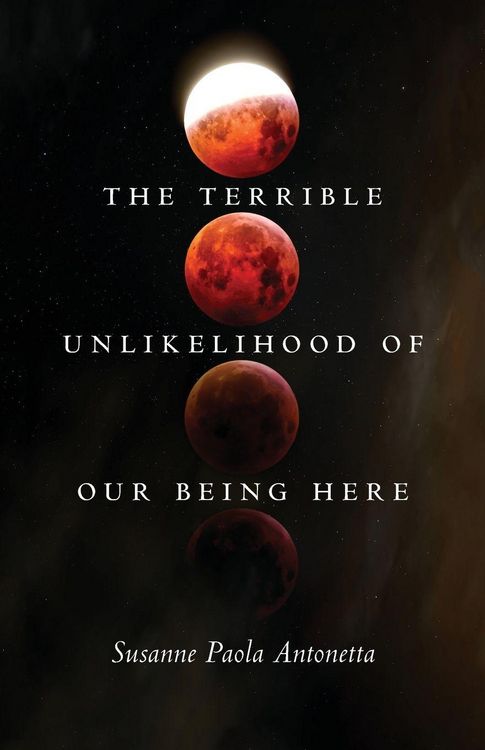 Produktbild: The Terrible Unlikelihood of Our Being Here