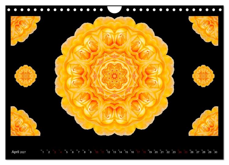Produktbild: ROSEN MANDALAS (Wandkalender 2027 DIN A4 quer), CALVENDO Monatskalender