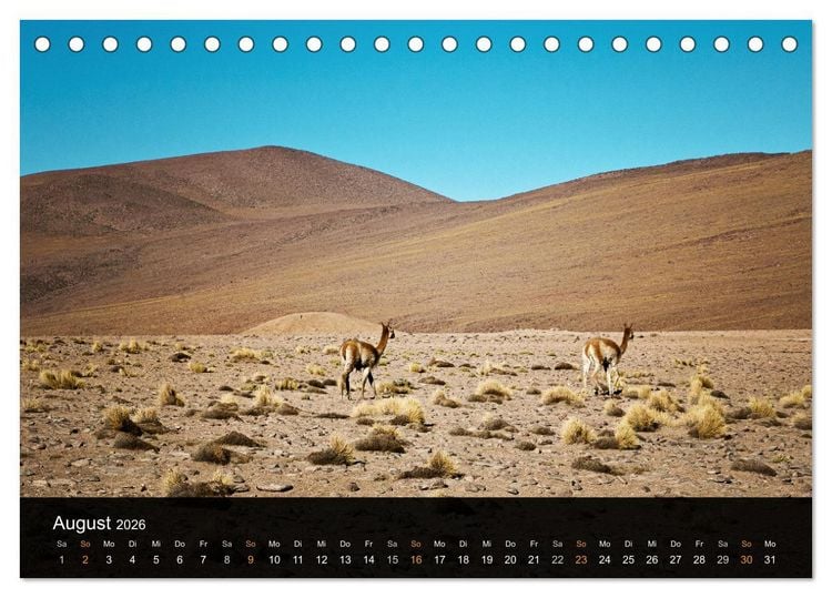 Produktbild: Atacama: Die W&uuml;ste im Norden Chiles (Tischkalender 2026 DIN A5 quer), CALVENDO Monatskalender