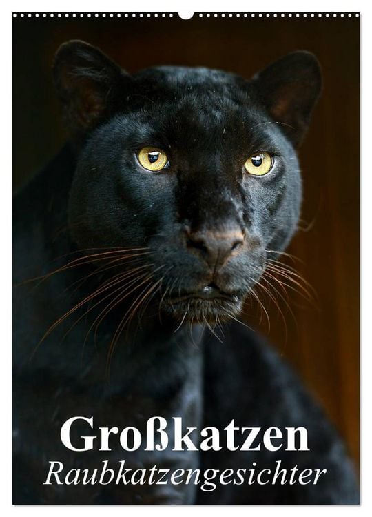 Produktbild: Gro&szlig;katzen. Raubkatzengesichter (Wandkalender 2026 DIN A2 hoch), CALVENDO Monatskalender