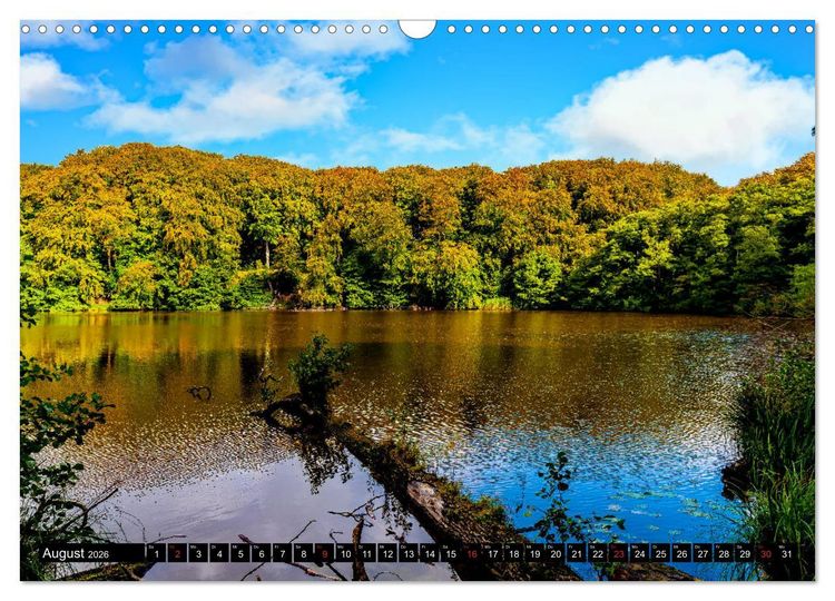 Produktbild: OSTSEE PERLE R&Uuml;GEN Michael Jaster (Wandkalender 2026 DIN A3 quer), CALVENDO Monatskalender
