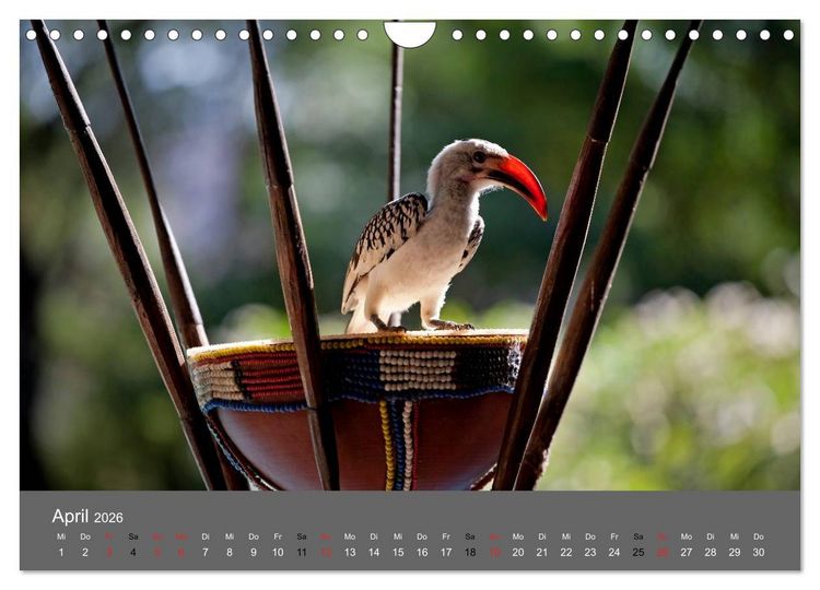 Produktbild: Ich tr&auml;umte von Afrika (Wandkalender 2026 DIN A4 quer), CALVENDO Monatskalender