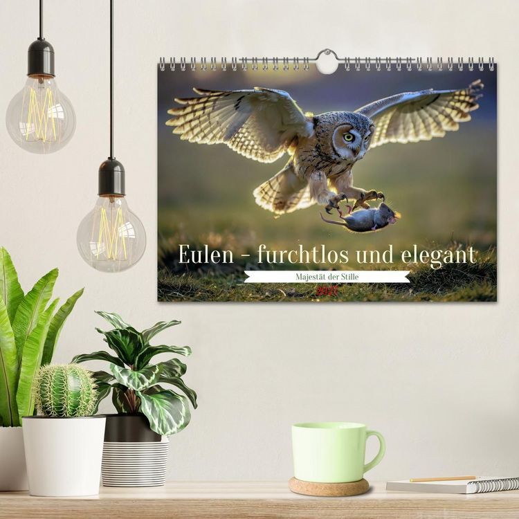 Produktbild: Eulen - furchtlos und elegant (Wandkalender 2027 DIN A4 quer), CALVENDO Monatskalender