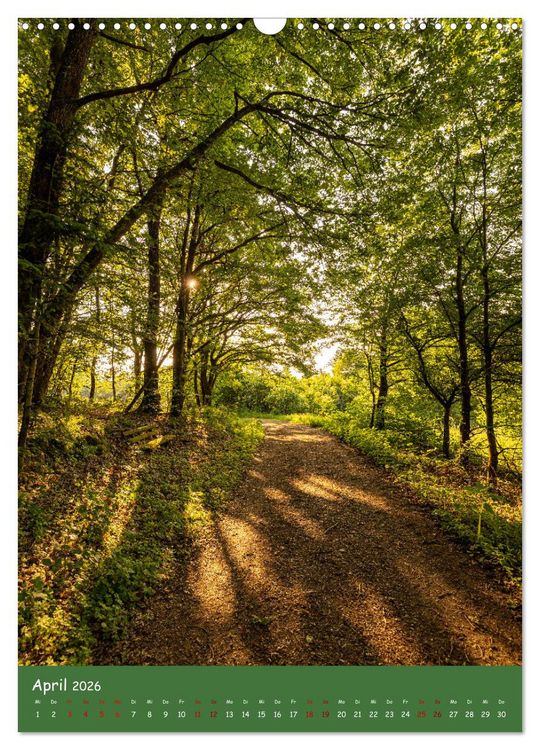 Produktbild: Ich bin dann mal im Wald (Wandkalender 2026 DIN A3 hoch), CALVENDO Monatskalender