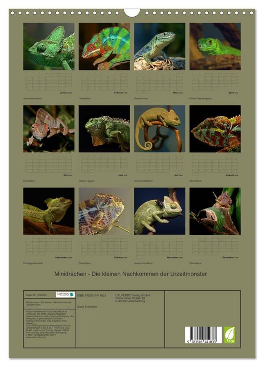 Produktbild: Minidrachen - Die kleinen Nachkommen der Urzeitmonster (Wandkalender 2026 DIN A3 hoch), CALVENDO Monatskalender
