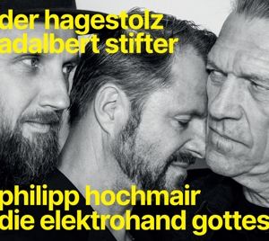 Produktbild: Der Hagestolz (Adalbert Stifter)