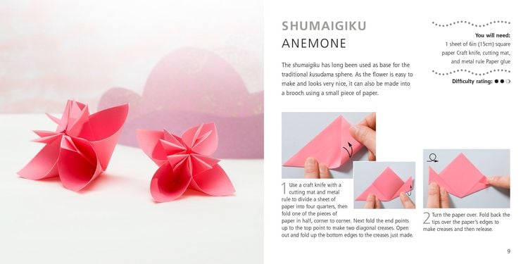 Produktbild: Origami Flowers and Birds