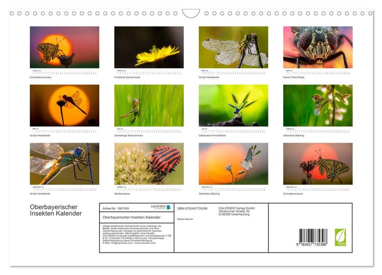 Produktbild: Oberbayerischer Insekten Kalender (Wandkalender 2026 DIN A3 quer), CALVENDO Monatskalender