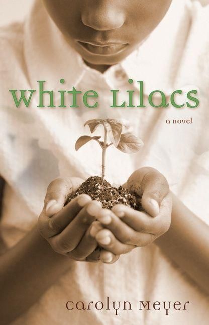 Produktbild: White Lilacs