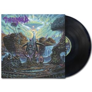 Produktbild: The Enduring Spirit (Black Vinyl)