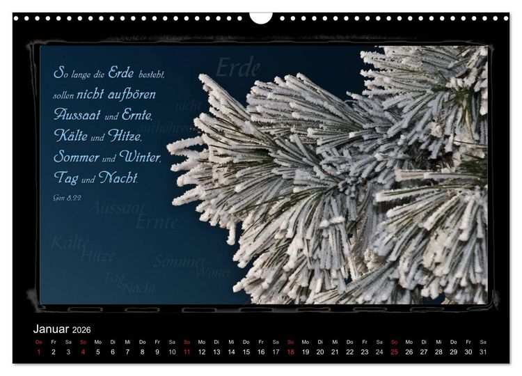 Produktbild: Monat f&uuml;r Monat ein Bibelvers (Wandkalender 2026 DIN A3 quer), CALVENDO Monatskalender