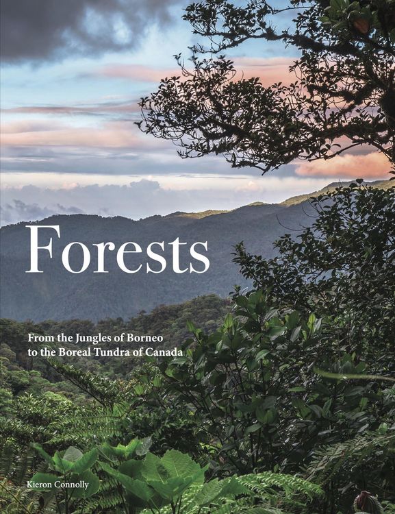 Produktbild: Forests