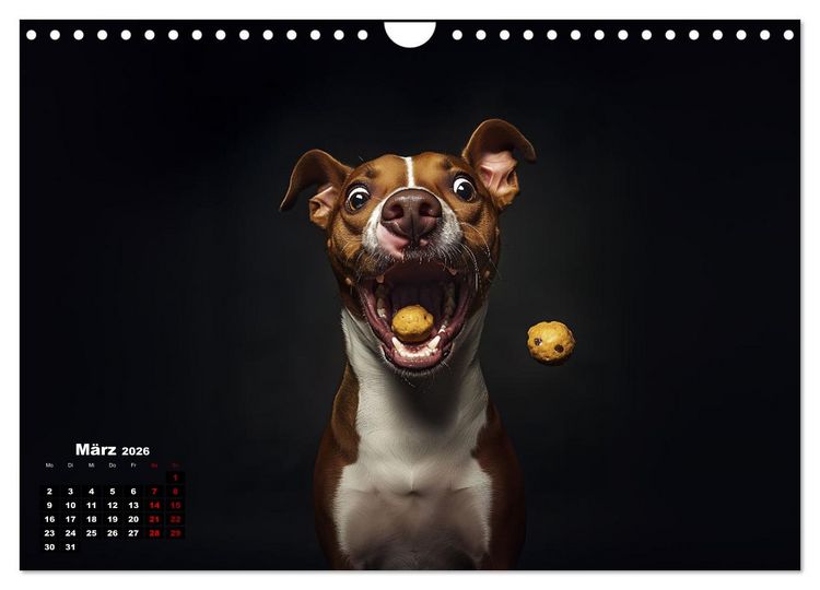 Produktbild: Leckerchen! (Wandkalender 2026 DIN A4 quer), CALVENDO Monatskalender