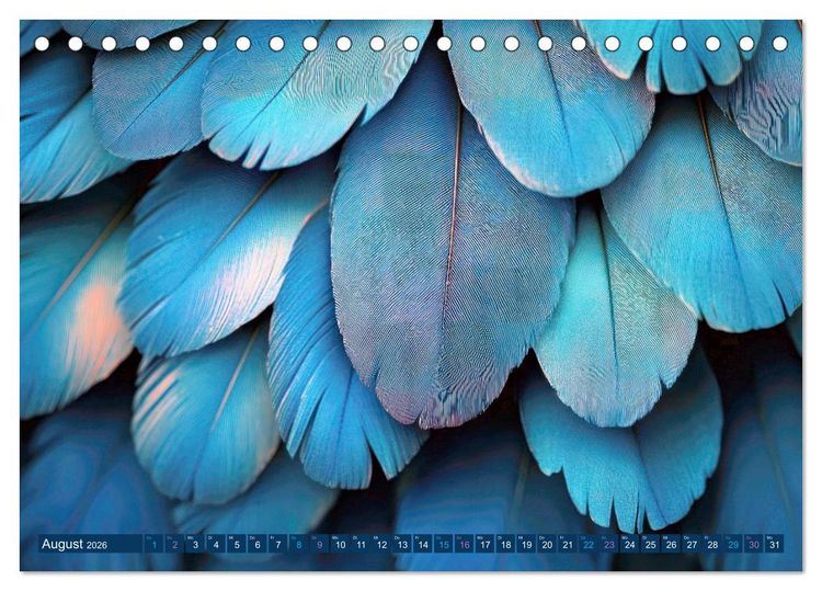 Produktbild: Die Welt in Blau (Tischkalender 2026 DIN A5 quer), CALVENDO Monatskalender
