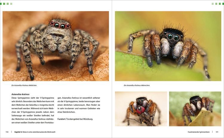 Produktbild: Extreme Wildlife-Makrofotografie