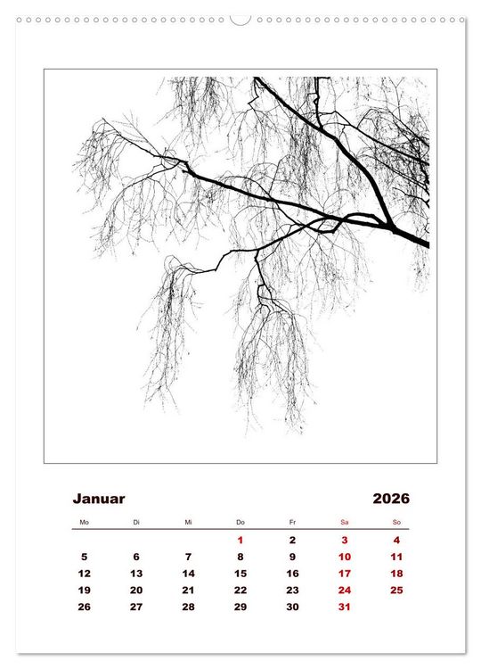 Produktbild: LignoGrafica - Muster und Strukturen der B&auml;ume (Wandkalender 2026 DIN A2 hoch), CALVENDO Monatskalender