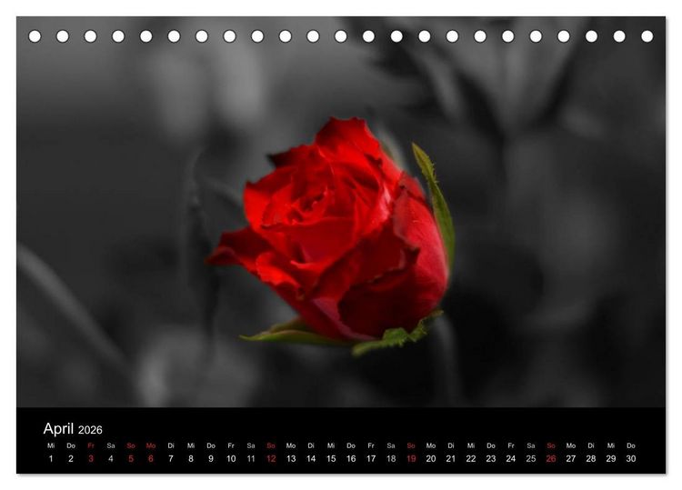 Produktbild: schwarz/wei&szlig; trifft farbe (Tischkalender 2026 DIN A5 quer), CALVENDO Monatskalender
