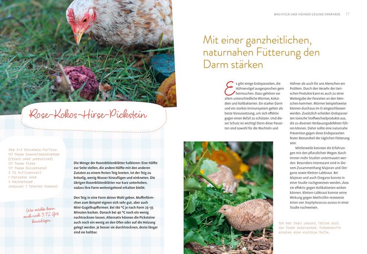 Produktbild: Was sucht das Huhn im Kr&auml;uterbeet?