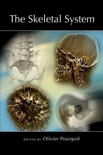 Produktbild: The Skeletal System