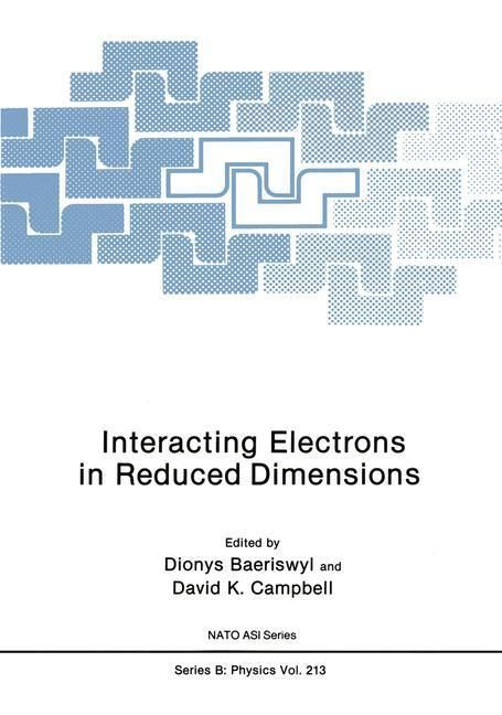 Produktbild: Interacting Electrons in Reduced Dimensions