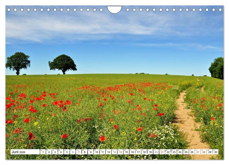Produktbild: Wege gehen... (Wandkalender 2026 DIN A4 quer), CALVENDO Monatskalender