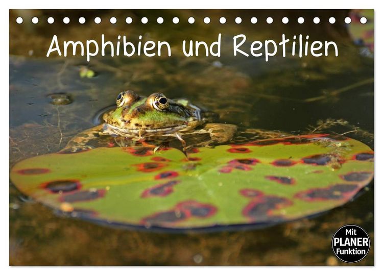 Produktbild: Amphibien und Reptilien (Tischkalender 2026 DIN A5 quer), CALVENDO Monatskalender