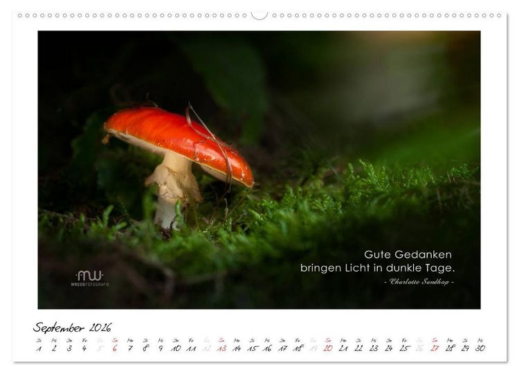 Produktbild: Gedanken... Bildkalender mit Spr&uuml;chen (hochwertiger Premium Wandkalender 2026 DIN A2 quer), Kunstdruck in Hochglanz