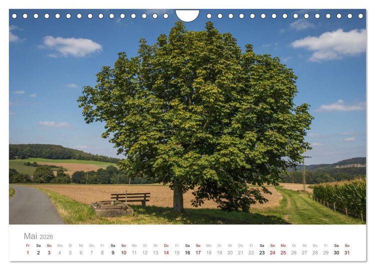 Produktbild: Wundersch&ouml;ne B&auml;ume im Sauerland (Wandkalender 2026 DIN A4 quer), CALVENDO Monatskalender