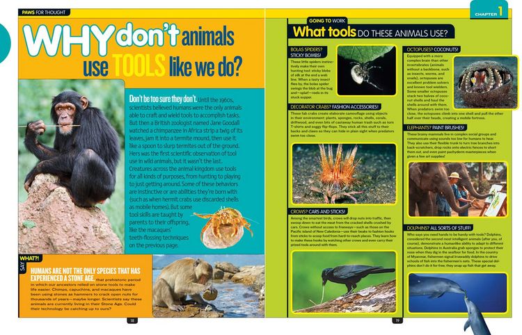 Produktbild: National Geographic Kids Why Not?