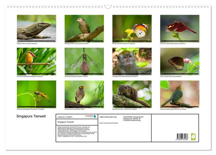 Produktbild: Singapurs Tierwelt (Wandkalender 2026 DIN A2 quer), CALVENDO Monatskalender
