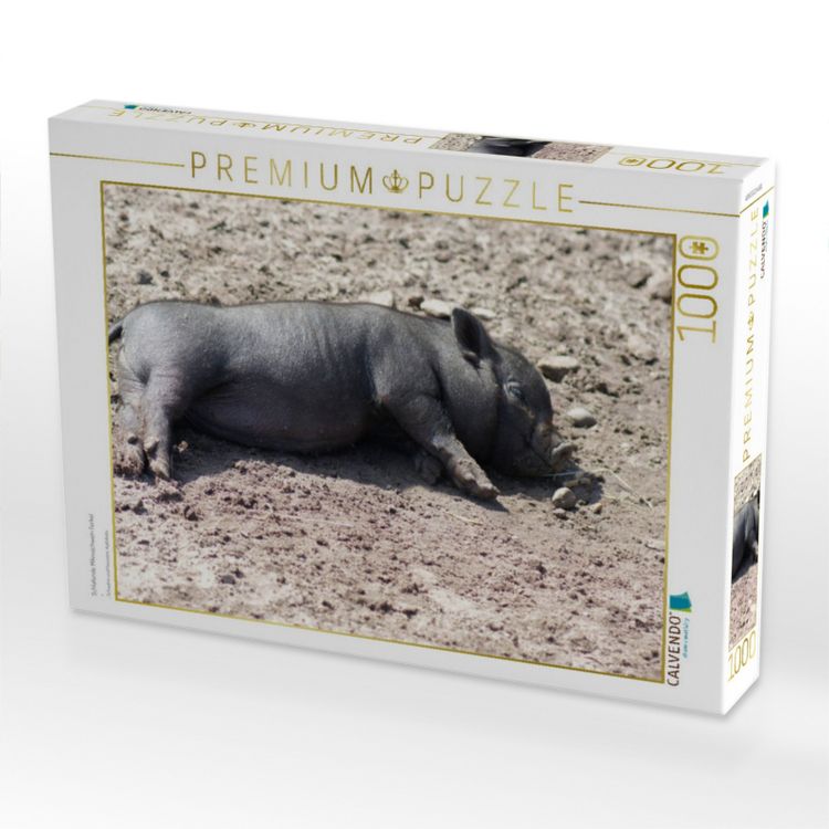 Produktbild: CALVENDO Puzzle Schlafende Mikroschwein Ferkel | 1000 Teile Lege-Gr&ouml;&szlig;e 64x48cm Foto-Puzzle f&uuml;r gl&uuml;ckliche Stunden