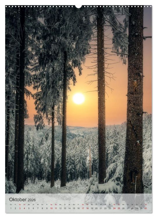 Produktbild: Winter Spaziergang (Wandkalender 2026 DIN A2 hoch), CALVENDO Monatskalender