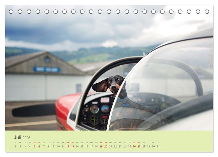 Dackel unterwegs (Tischkalender 2025 DIN A5 quer), CALVENDO Monatskalender