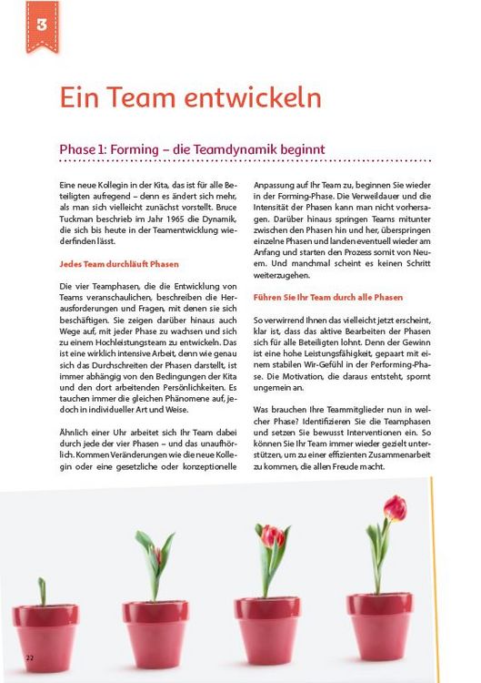 Produktbild: Teamentwicklung in der Kita