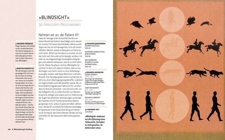 Produktbild: Das Gehirn in 30 Sekunden