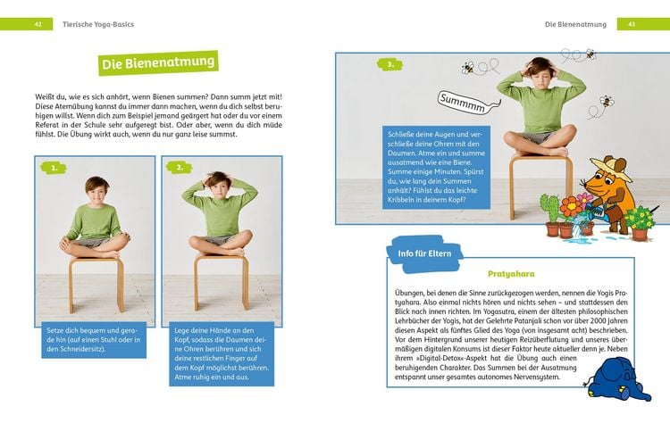 Produktbild: Yoga mit der Maus