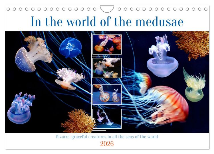 Produktbild: In the world of the medusae (Wall Calendar 2026 DIN A4 landscape), CALVENDO 12 Month Wall Calendar