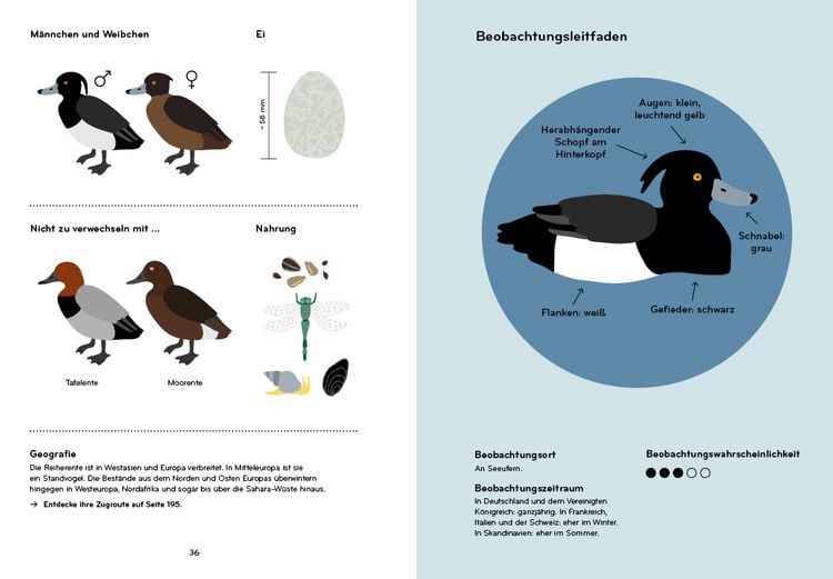 Produktbild: Ornithorama